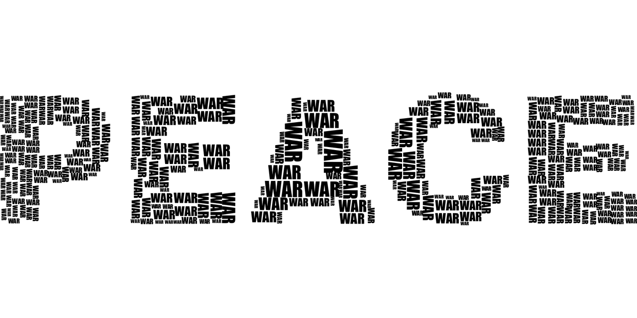 橘猫 第31页