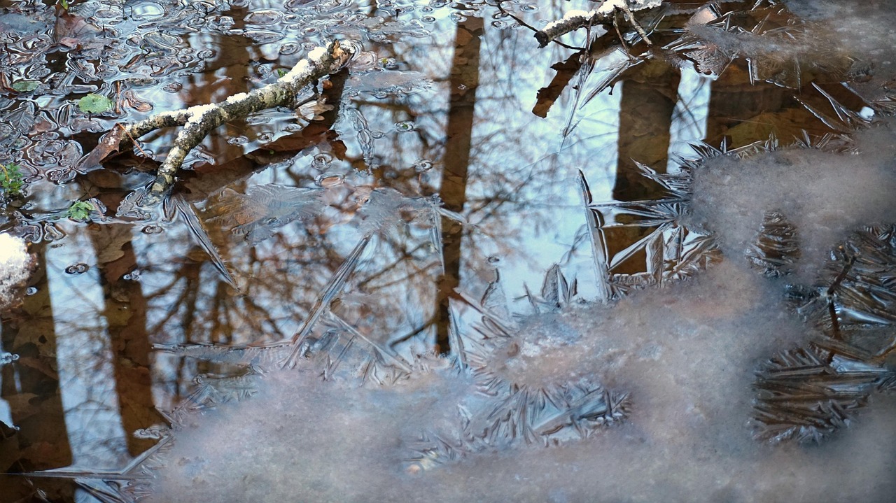 栀夏暖阳 第7页