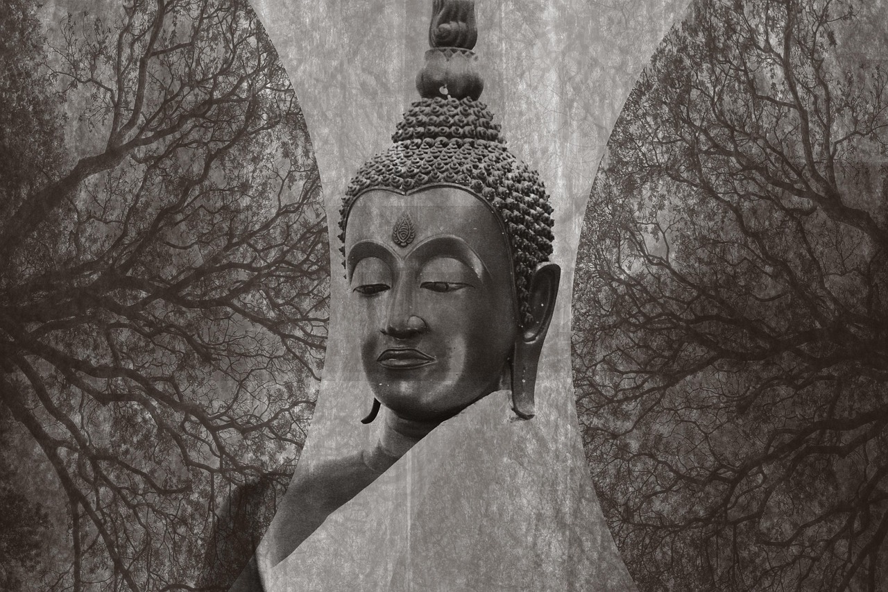 四月动漫蜘蛛精，神秘魅力的展现