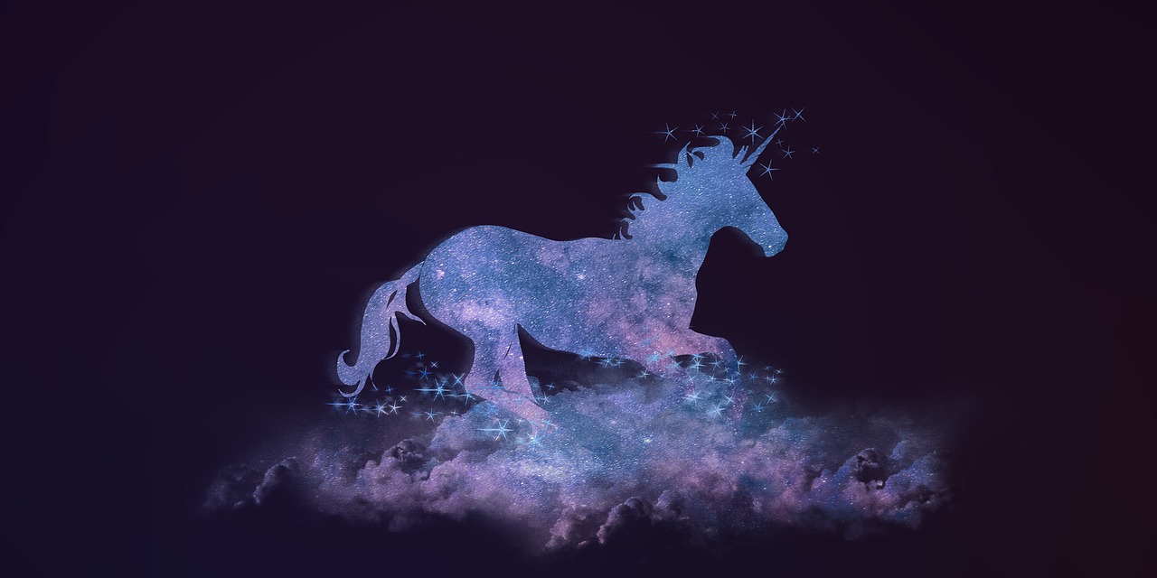 五月梦境与明星的奇妙对话，一场独特的交流体验